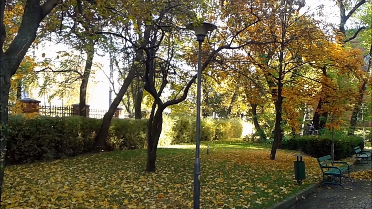 The Soundrops - Darkness Darkness