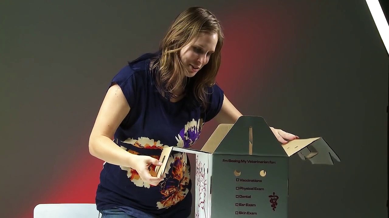 Pessoas que odeiam gatos conhecem filhotes fofos