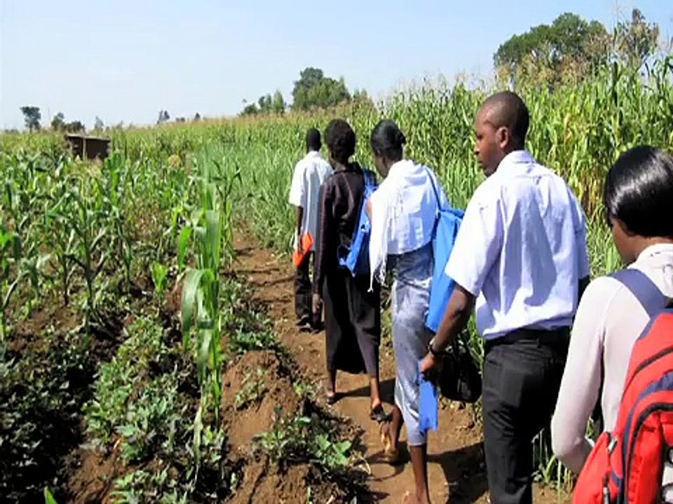 Computer Science & Engineering - UW Engineers Making a Difference