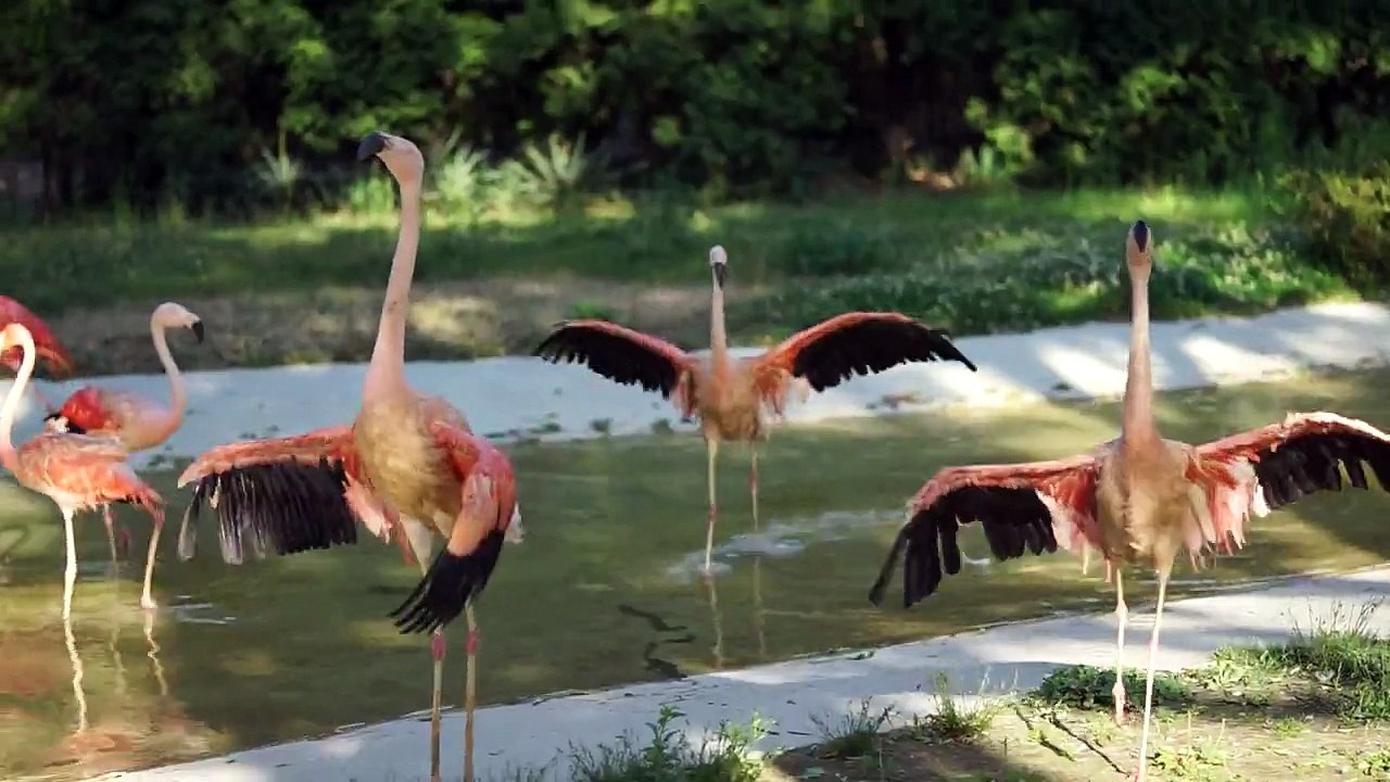 FE-90mm-F2.8-Macro-G-OSS-Sample-3