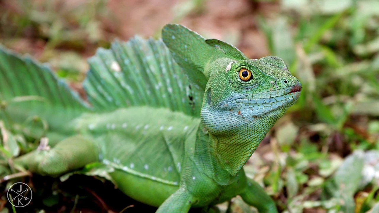 4K Ultra HD Movie 2 🎬