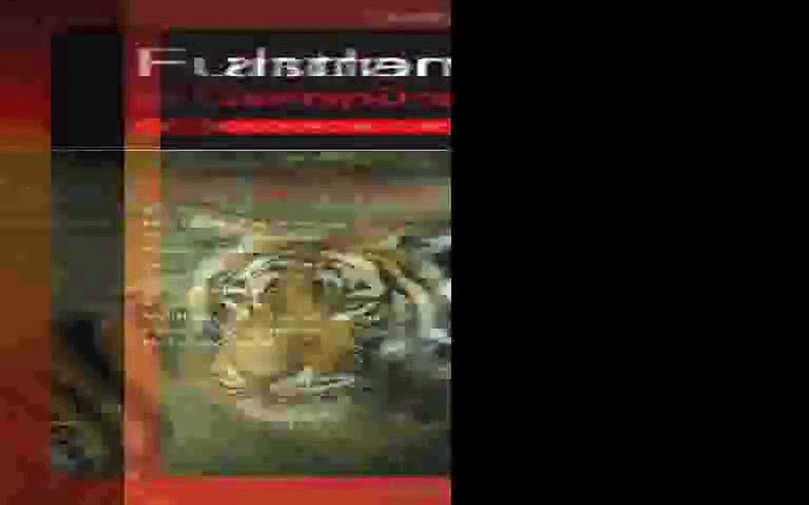 Fundamentals of Computer Graphics Pdf