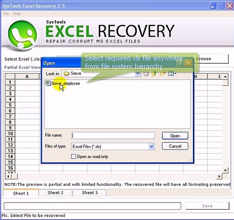Repair Excel File