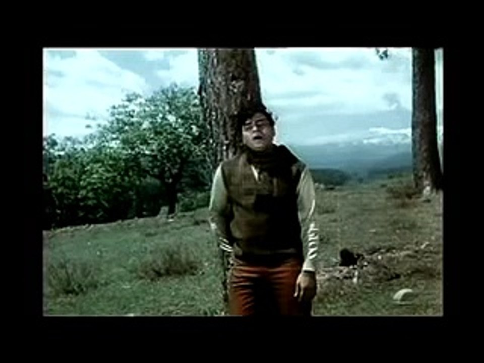 mujhe teri mohabbat ka sahara