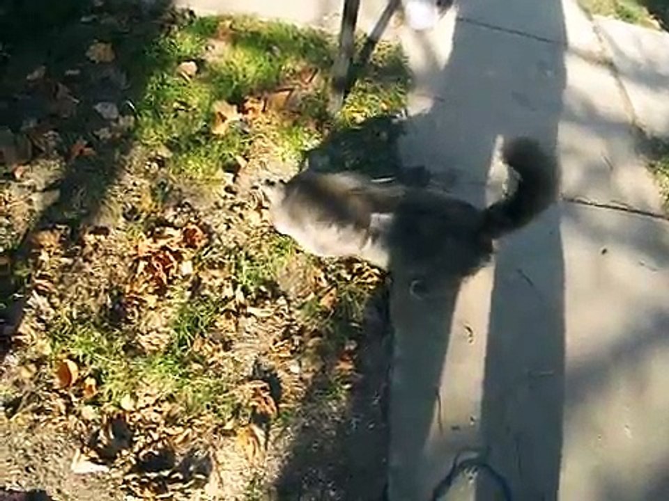 том и джери 2 белорусские