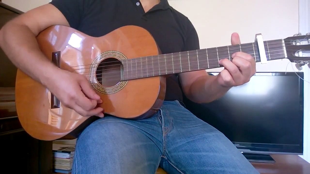 Elastic Heart - Sia - Guitar Tutorial - Petros