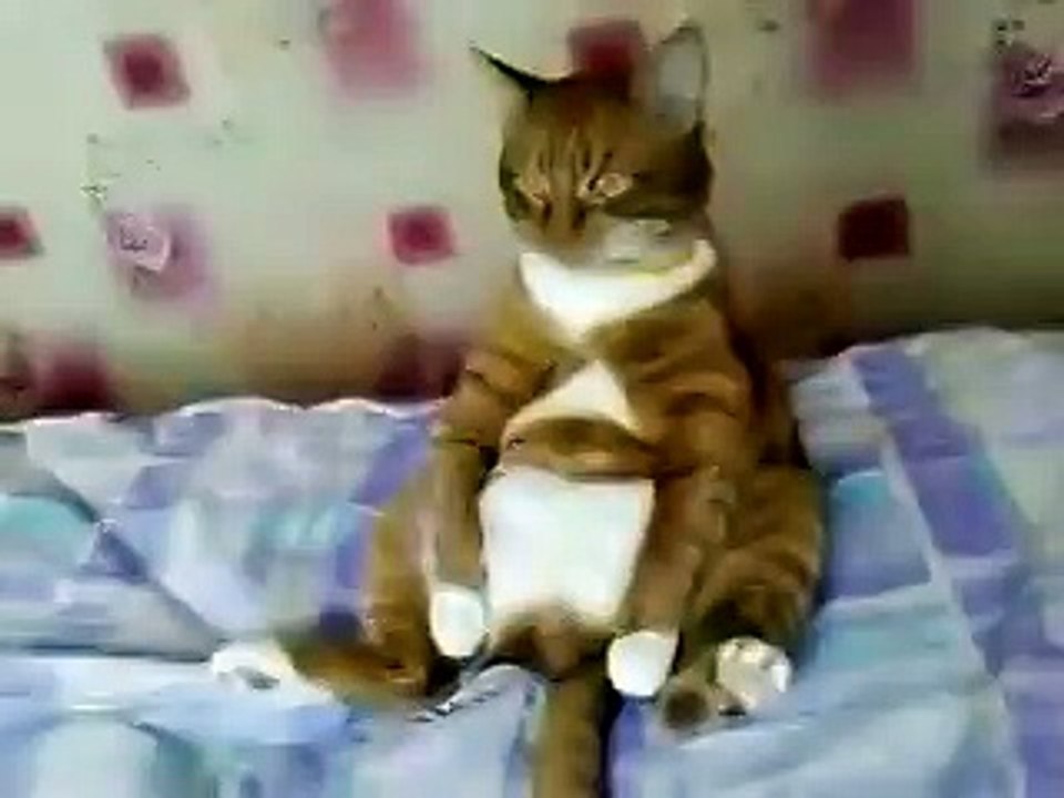 Мультики смотрит