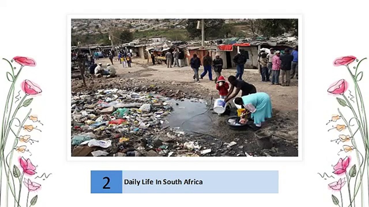 Experience Daily Life and Delicious Braais in South Africa 🇿🇦