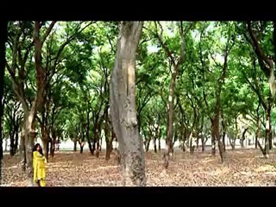 Jo Chaley Tou Jaan Se Guzar Gaye