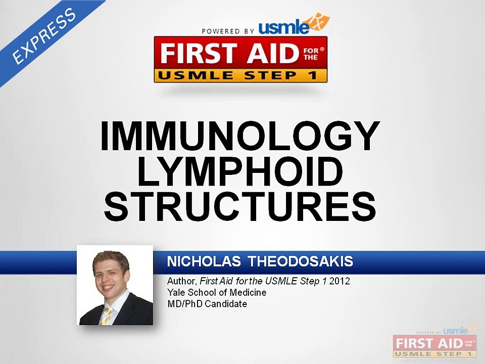 Immunology Lymphoid Structures