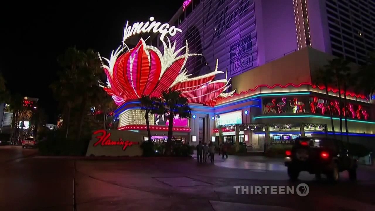 "Quantum Physics" [Space Documentary]