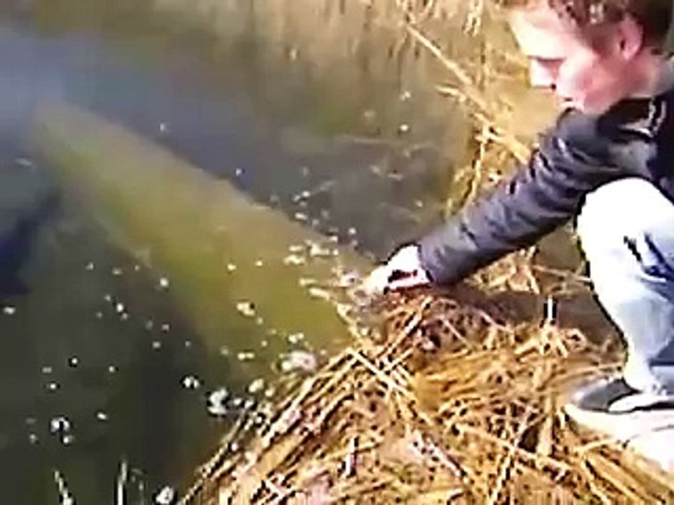 ЖЕСТОКАЯ АТАКА ЩУКИ!