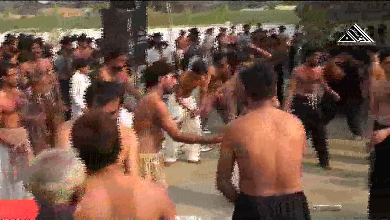 Arman Reha Arman Reha