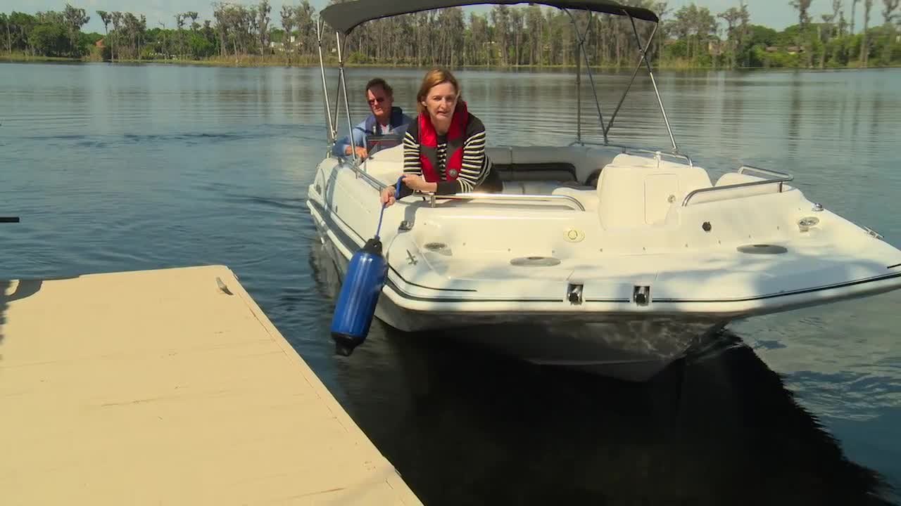 The Basics of Fenders