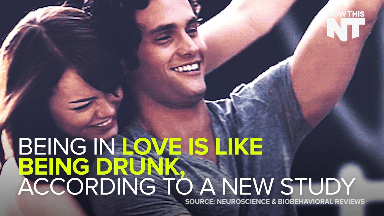 Being In Love And Being Wasted Are Basically The Same Thing
