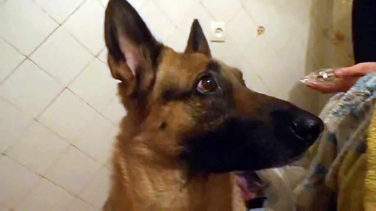 ОСКАЛ И УЛЫБКА