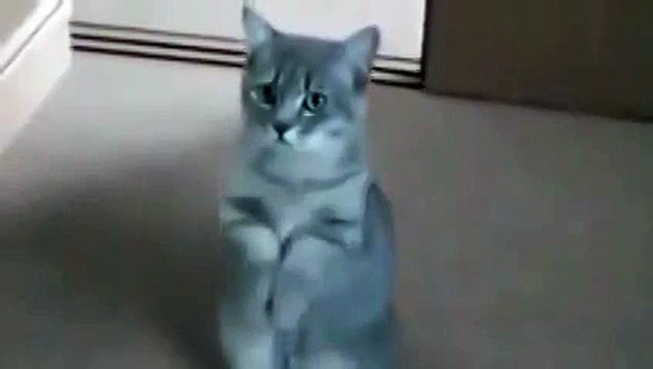 Уроки попрошайничества