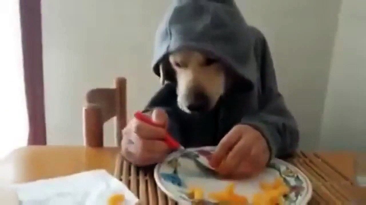 Прикол ! смеялась до слез !