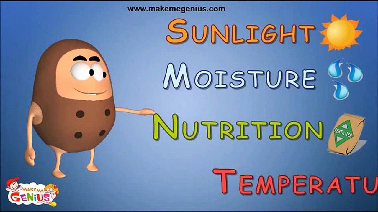 Seed Dispersal Types (बीज प्रसार) Hindi