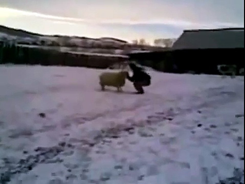 Боевой Баран Борис