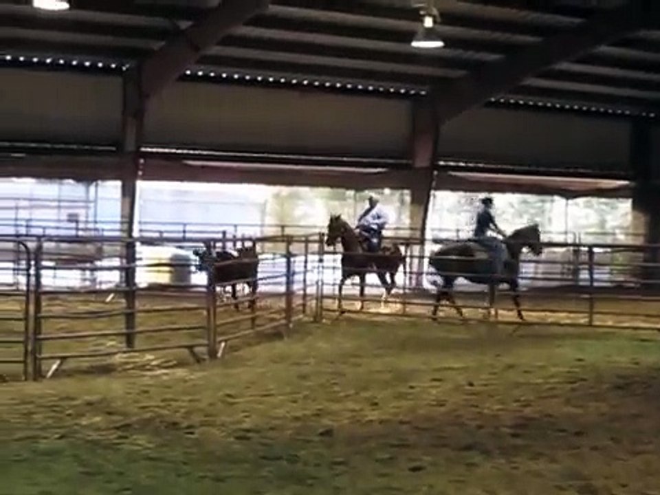 Eerste training racing   Training