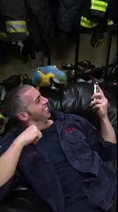 Firehouse Parrot Gets Jiggy With It
