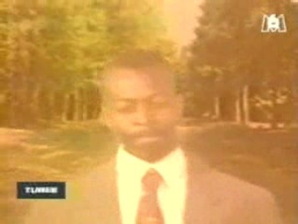 Steph' Tube des Tubes