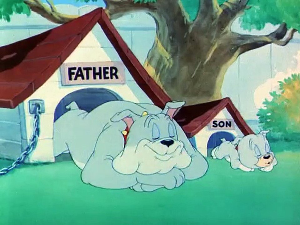 Tom and Jerry Hindi Episode | Love That 🐱🐭