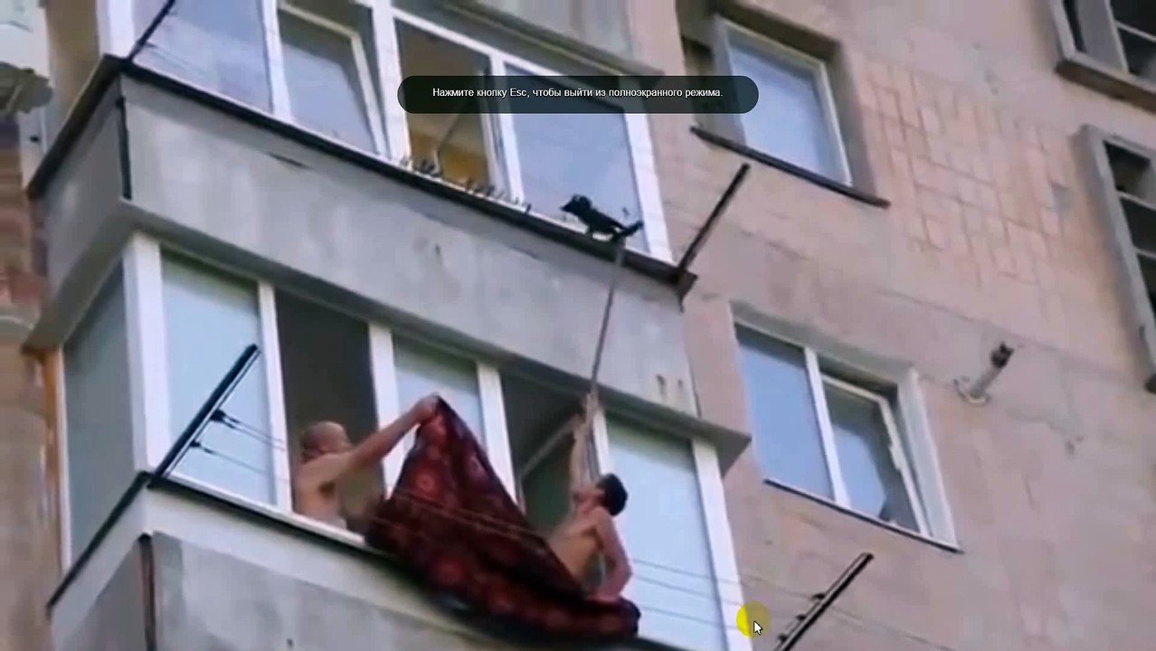 Спасли, таки! Понравилось видео — ставьте лайк