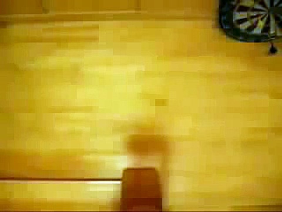 Hilarious Cat Videos Compilation 2015