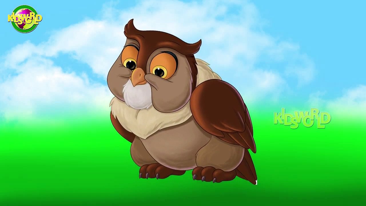 Cartoon Kids World Owl Finger Family Rhymes For Children | Kids World Finger Family