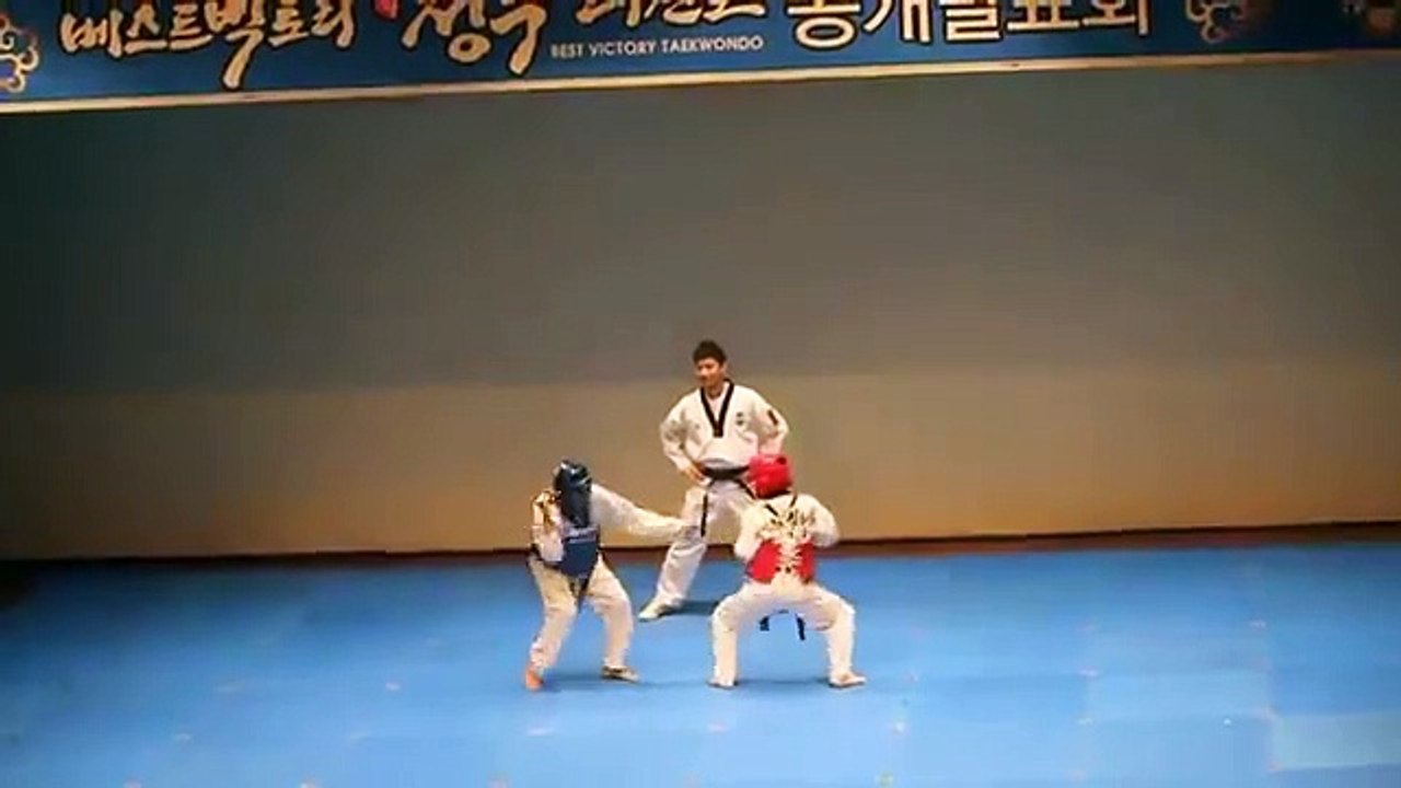Funny Videos : Taekwondo Fight