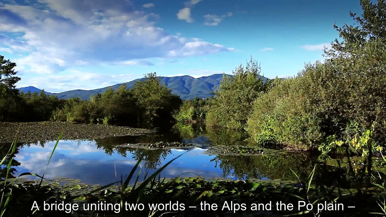 Trailer-"Moving To Live"