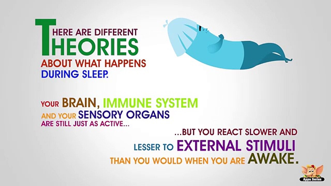 Why should you Sleep