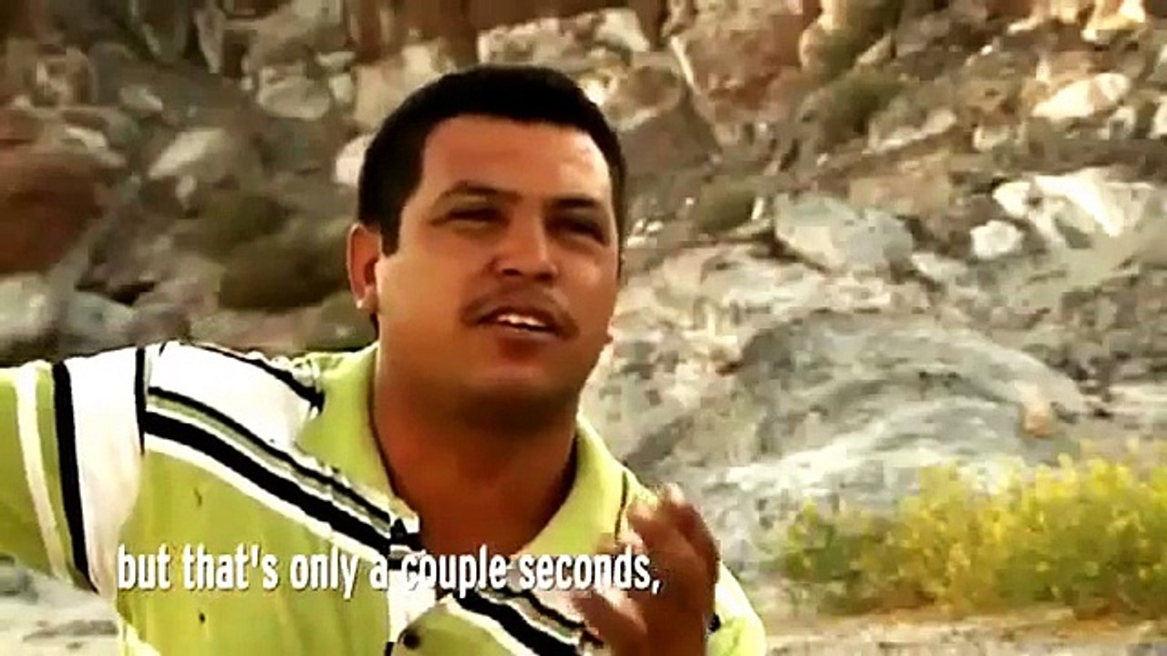 Discovery Channel || Discovery Channel Animals || Shark Documentary