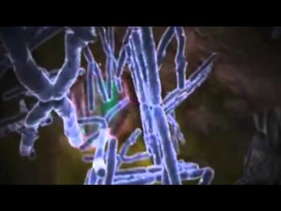 Report TV - Zbulohet shkaku i 90 % të rasteve të kancerit