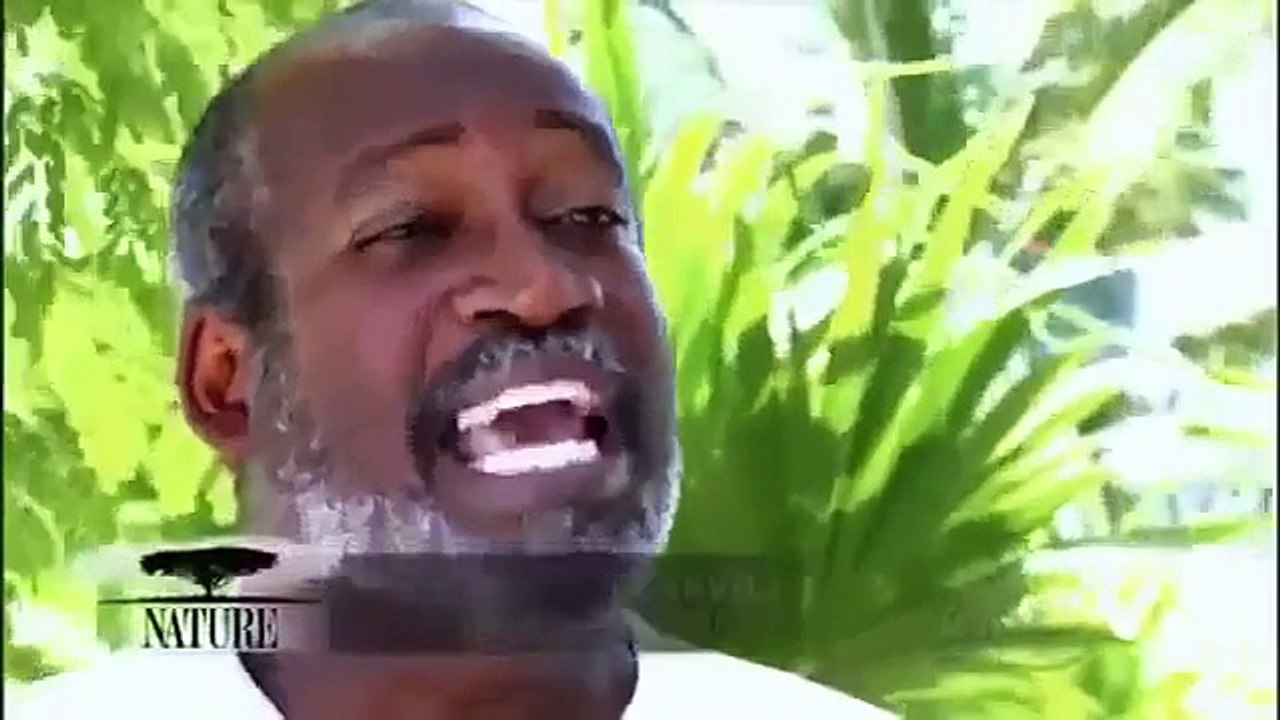 Wildlife Documentary in Cuba Full Documentary