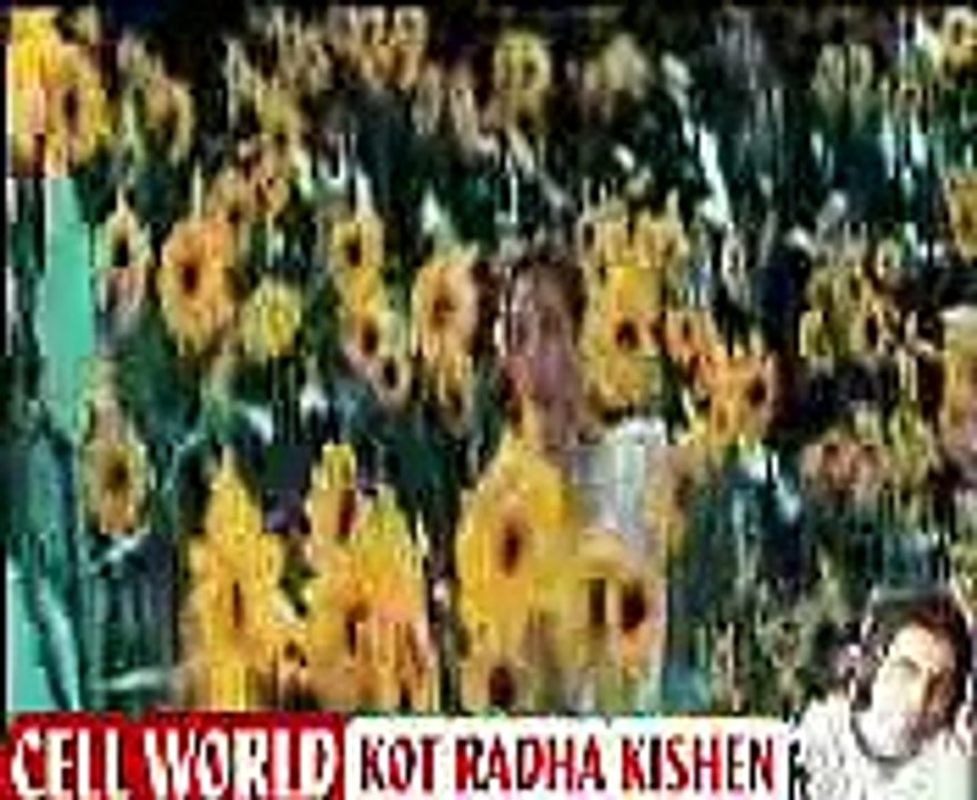 Haye Mera Dil Tera Dil