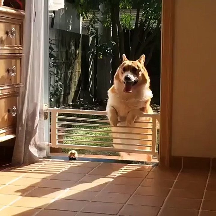 Главное верить в себя)