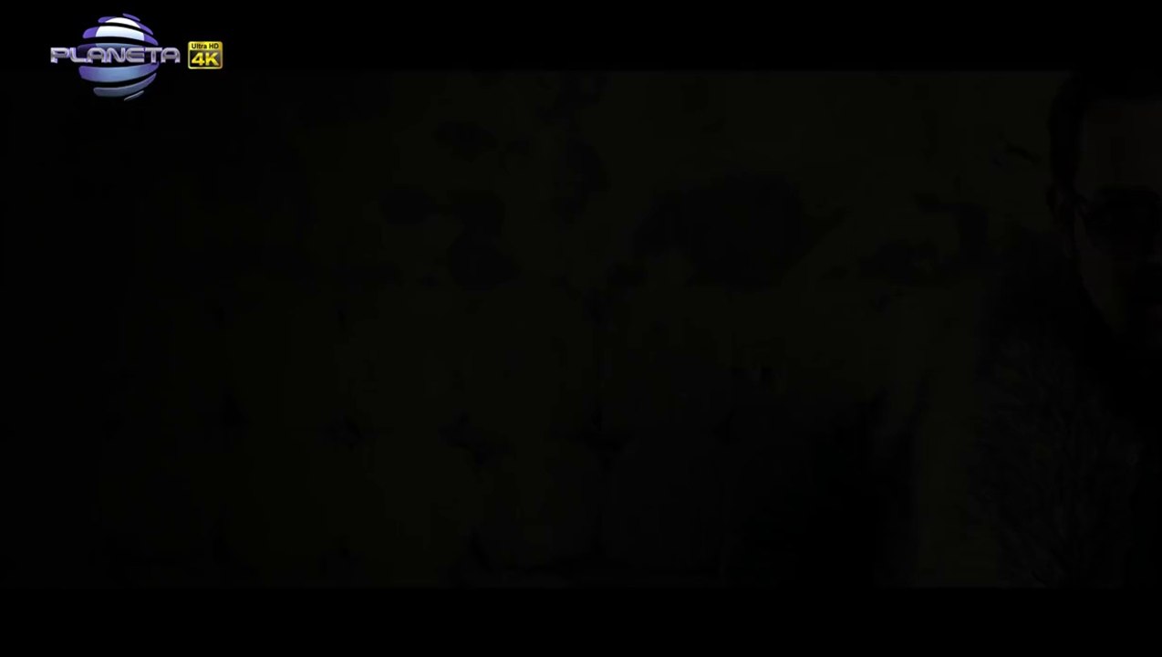 USTATA - Gali, Gali, Gali HD