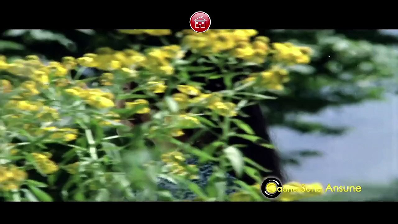 Best Of Gulzar  Gulzar Evergreen Romantic Songs  Old Hindi Bollywood Songs