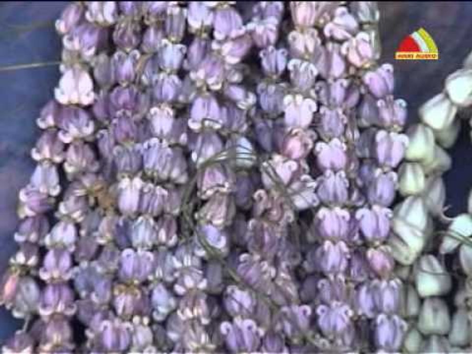 Ivar Enga Pillaiyar ErukamPookale