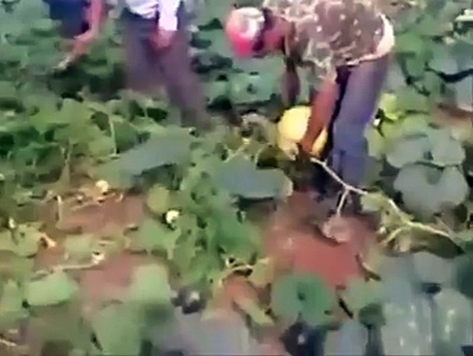 How is is possible ...