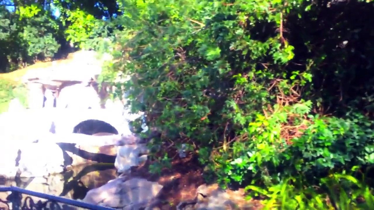 vlog Disneyland Adventures! (VLOG) vlog