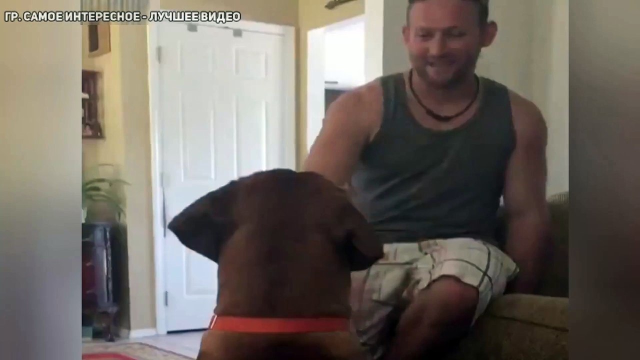 Получил по заслугам