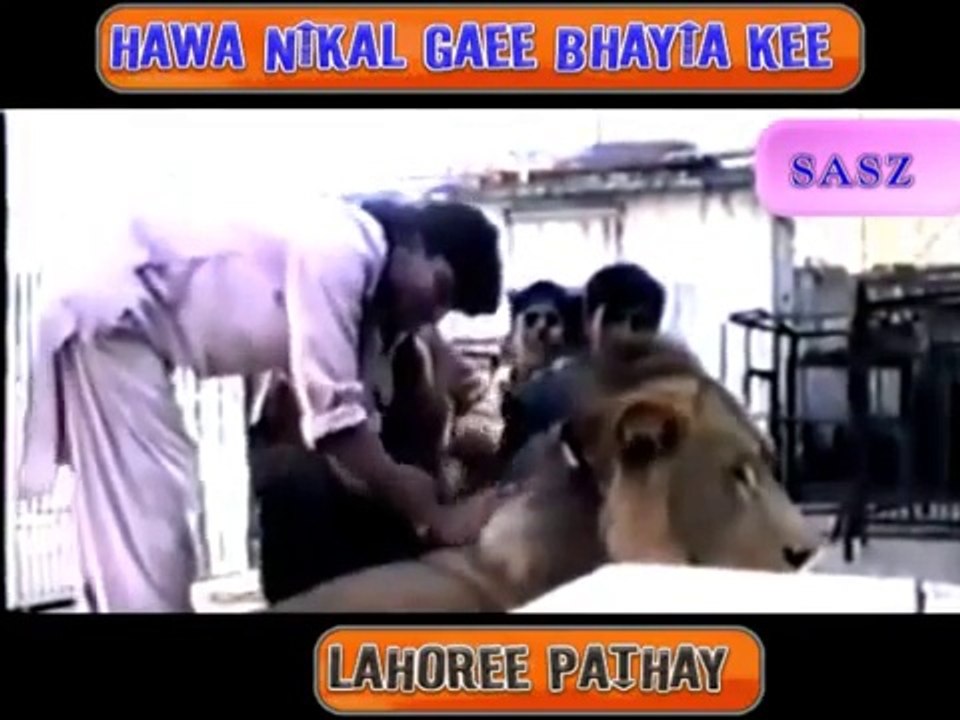 Lion attacks and kills a tourist in Lahore