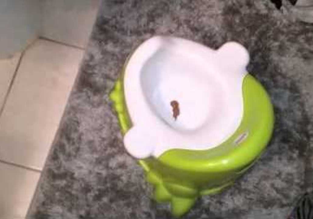 Toddler Excels at Potty Training