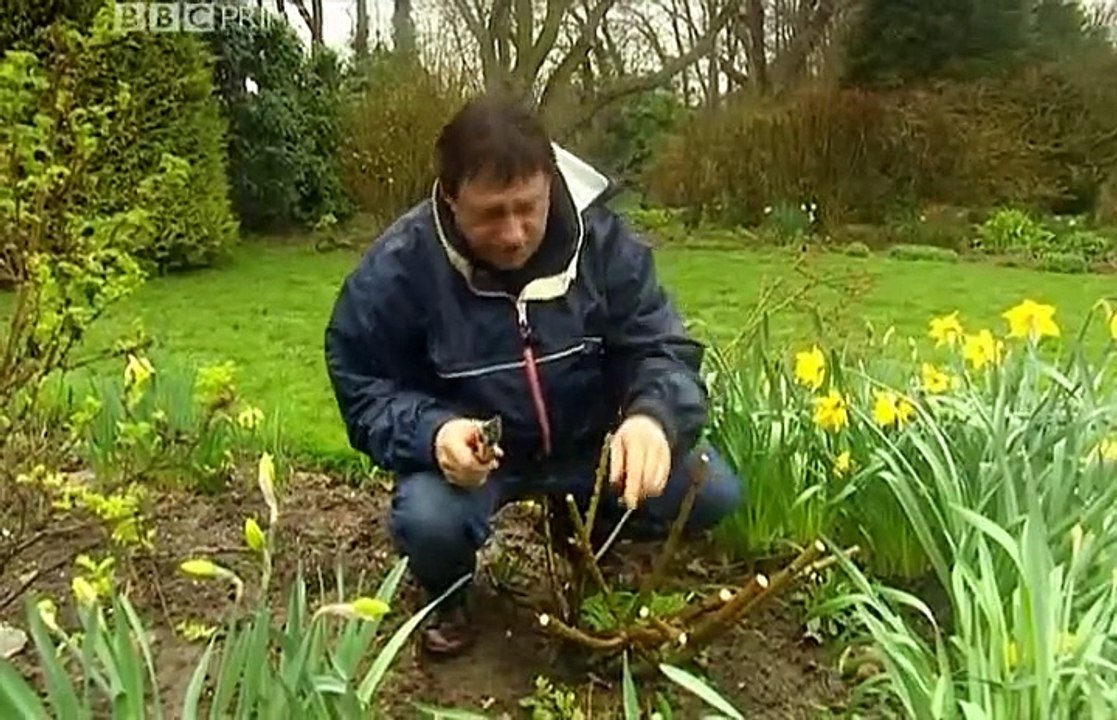 Problem Solving Challenge #6 🧩