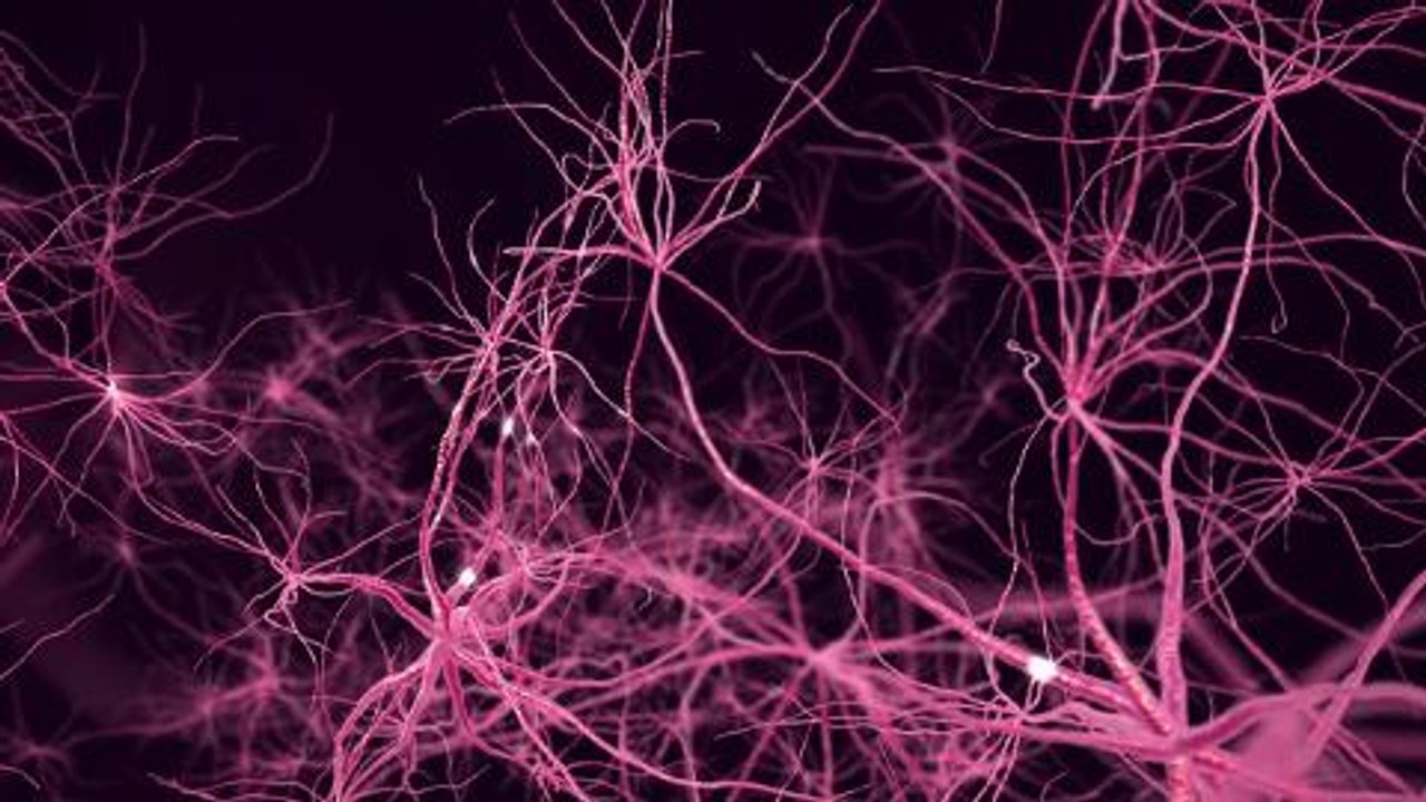 SwiftKey Neural - the world's first neural network keyboard