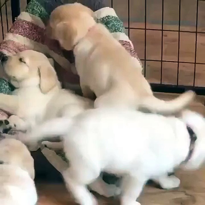 This is How We Snuggle